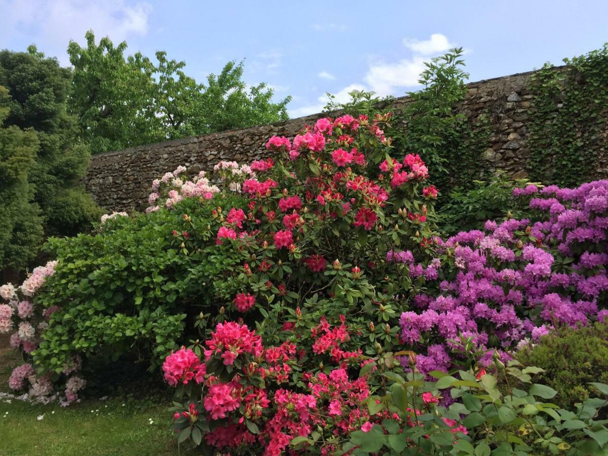 Domaine Des Trois Chateaux Moisenay Екстер'єр фото